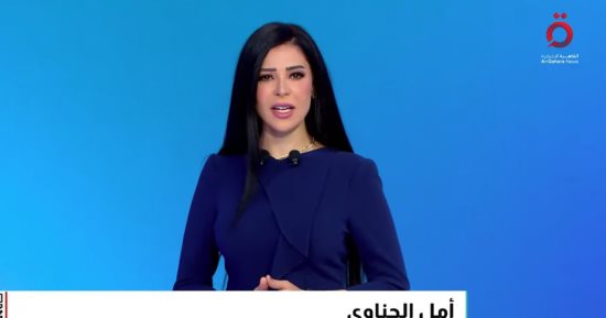 أمل الحناوى: اتفاق شرم الشيخ نجح فى غلق صفحة أليمة بتاريخ البشرية