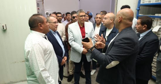 محافظ الجيزة يتابع استعدادات انطلاق مهرجان التمور المصرية بالواحات البحرية