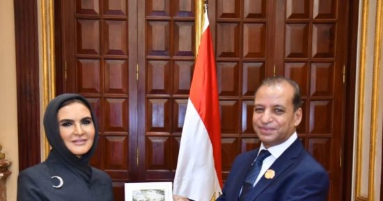 تمكين المرأة تحت القبة.. النائبات المعينات يتسلمن كارنيهات العضوية بمجلس الشيوخ.. صور