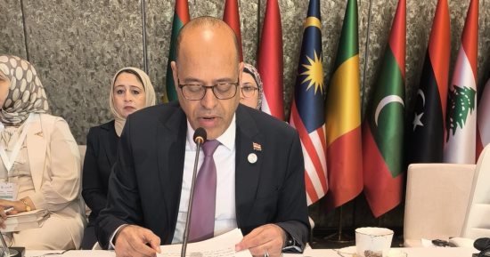 وزير العمل: المشروعات العملاقة خفضت البطالة من 13% عام 2014 إلى6.1 % الآن