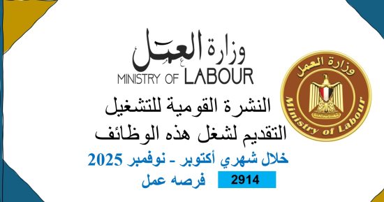 وزارة العمل: 2914 فرصة عمل جديدة فى 72 شركة خاصة لشباب 13 محافظة