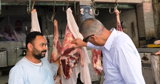 محافظ أسوان يفاجئ مخابز ومحلات جزارة بكوم إمبو
