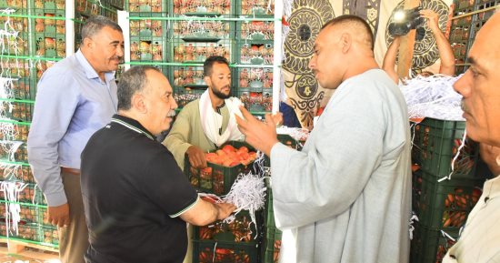 الذهب الأحمر.. رمان أسيوط يغزو أسواق روسيا وماليزيا وكندا وجنوب أفريقيا والدول العربية.. البداري وساحل سليم يقودان قاطرة التصدير إلى أسواق العالم.. والدولة تبدأ في إنشاء مصنع للعصير بالكوم الأحمر.. صور