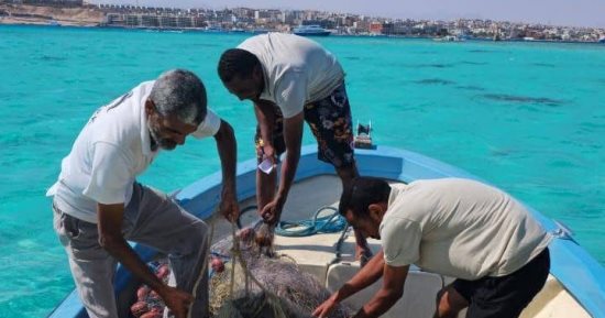 حملة مكثفة لإزالة شباك الصيد من محمية الجزر الشمالية بالبحر الأحمر.. تفاصيل