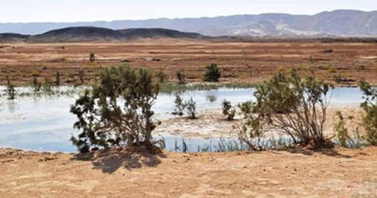بحيرات فى حضن الجبل.. وادى مليحة أو كبة النخلة واحة طبيعية فى قلب صحراء الغردقة