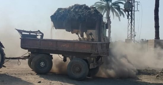 رفع تراكمات قمامة وتشجير طرق.. مبادرة ذاتية من أهالى قرية فى قنا 