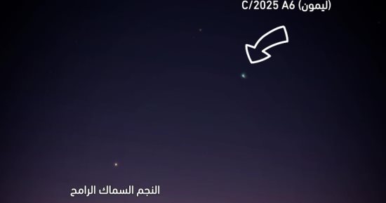 شاهده بنفسك.. لا تفوت المذنب الأخضر "ليمون" الليلة