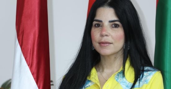 تجديد ندب نيفين الصغير للعمل مستشارًا لوزير التعليم العالي للتسويق