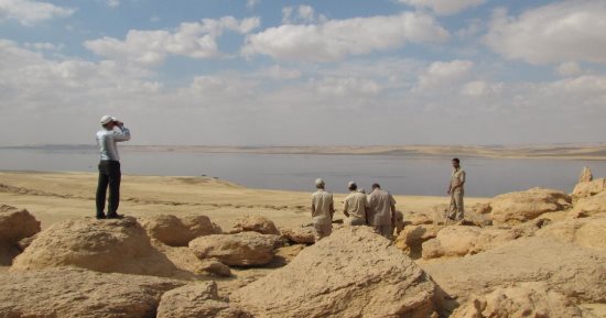 جزيرة القرن الذهبى بالفيوم فوقها 175 نوعا من الطيور المهاجرة النادرة.. صور