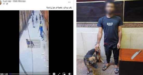 ضبط شخص يروع المواطنين بكلب وسلاح أبيض فى الجيزة  