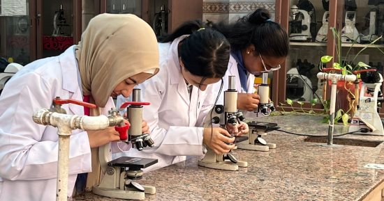 سامى عبد الصادق: تدريب طلاب جامعة القاهرة الأهلية وفق أحدث الأساليب العلمية