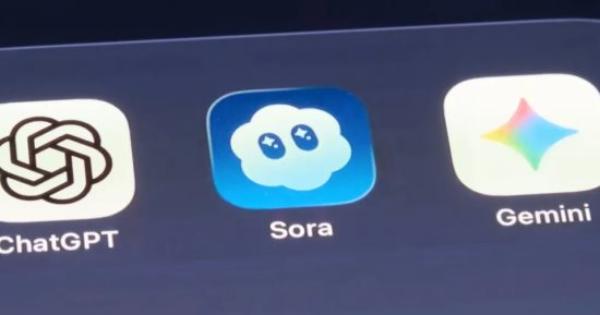 تحديث قادم على Sora يمكنك من إنشاء مقاطع فيديو لحيوانك الأليف
