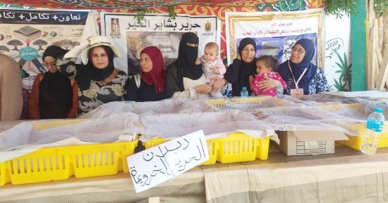 شاهد رحلة إنتاج الحرير الطبيعي من الشرنقة إلى صناعة السجاد