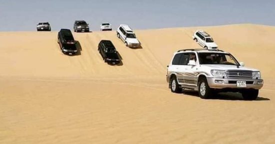 كل ما تحتاج معرفته عن إجراءات تنظيم رحلات سفارى بالمحميات الطبيعية
