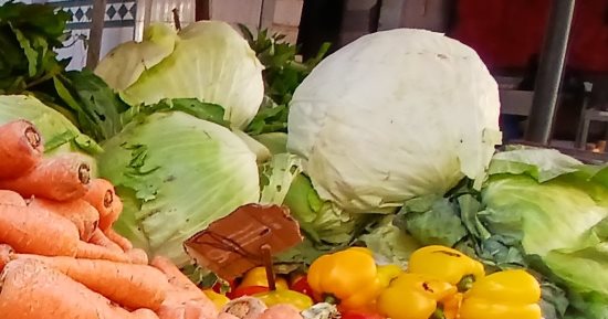 الكرنب والقرنبيط بـ 20 جنيه.. أسعار الخضراوات في الإسكندرية اليوم