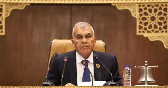رئيس الشيوخ يعلن اختيار طارق السيد ممثلا لبرلمانية الوفد تحت القبة