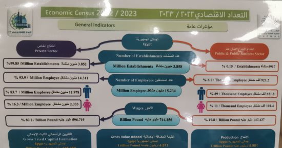 الإحصاء : 15 مليون عدد المشتغلين في مصر و744 مليار جنيه قيمة الأجور 