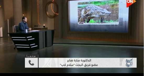 سارة صابر: التمساح المكتشف من أقدم العائلات ويحمل صفات تطورية