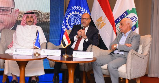 منظمة العمل العربية: القانون المصري الجديد محطة فارقة في تحديث التشريعات