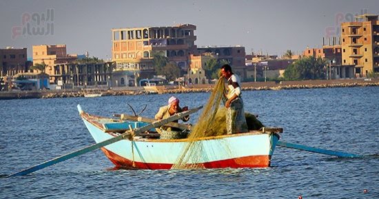 اختصاصات جهاز حماية البحيرات والثروة السمكية.. تطوير حرفة الصيد أبرزها