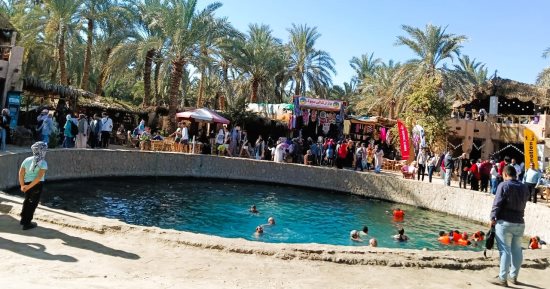 انتعاش السياحة الشتوية والسفاري بواحة مع بدء إقبال السياحة الخارجية والداخلية