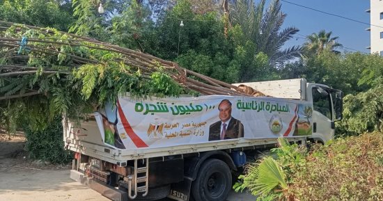 محافظ الفيوم يتابع أعمال استلام دفعة جديدة من الأشجار ضمن "100 مليون شجرة"