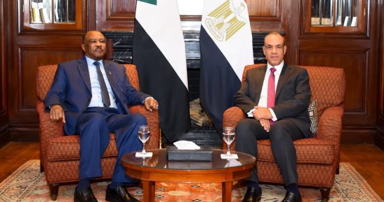 وزير الخارجية يستقبل نظيره السودانى