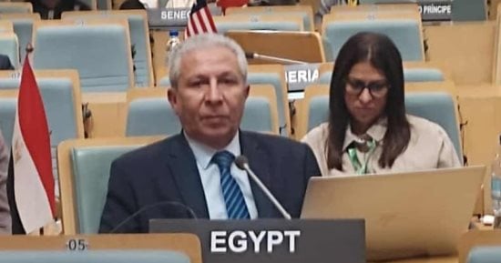 مصر تؤكد التزامها بدعم الأمن الغذائى الإفريقى بقمة مصايد الأسماك بأديس أبابا