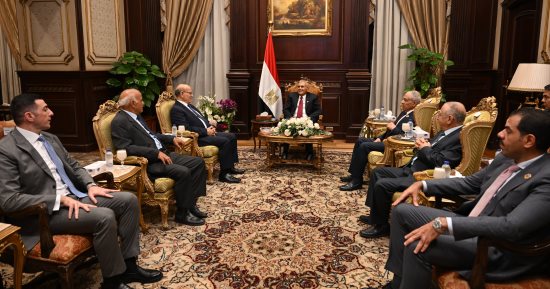 رئيس الشيوخ يستقبل محافظ القاهرة ورؤساء الهيئات القضائية لتهنئته