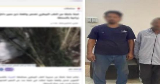 الأمن يكشف حقيقة ذبح "حمير" في أرض زراعية بالغربية وضبط المتهمين