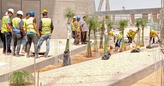 قيمة تاريخية كبيرة.. "بردى الشرقية" يزهر فى قلب المتحف المصرى الكبير.. صور