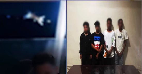 القبض على 4 طلاب بتهمة إلقاء قطة فى نهر النيل بالجيزة.. فيديو