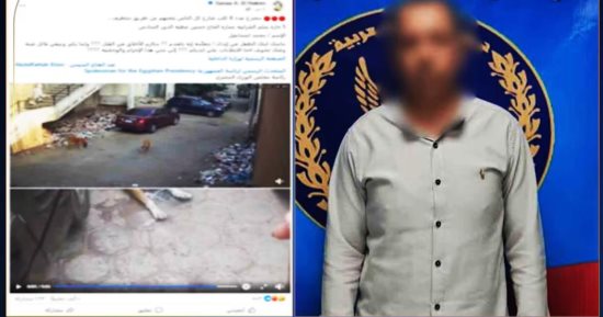 الداخلية تضبط موظفاً بالشرابية بعد تداول فيديو لتسميم كلاب ضالة