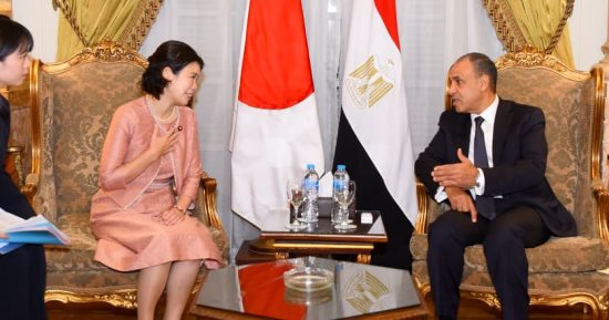 وزير الخارجية يعرب عن تقديره للدعم الياباني للمتحف المصري الكبير 