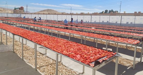 محافظ الأقصر ورئيس هيئة التنمية الصناعية يشهدان تدشين مجمع الصناعات الغذائية.. صور