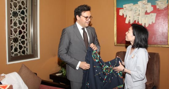 وزير الثقافة يستقبل الأميرة أكيكو ميكاسا ممثلة إمبراطور اليابان بدار الأوبرا