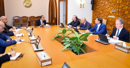 وزير الخارجية يؤكد أهمية تثبيت وقف إطلاق النار فى غزة