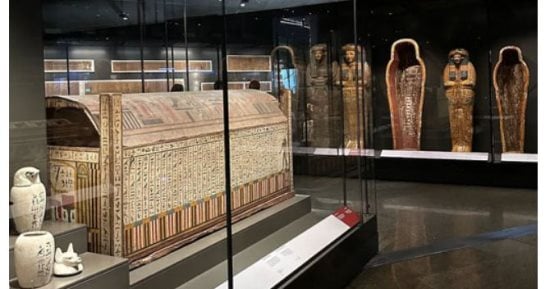 وزارة التعليم توجه بتنفيذ مسابقات حضارة الفراعنة بإبداع طلاب مصر بمناسبة المتحف المصرى
