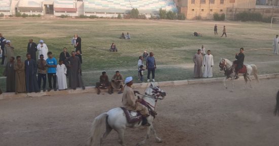 الفرسان فى الميدان.. شاهد مهارة الخيالة بمهرجان الفنون والحرف التراثية بقنا
