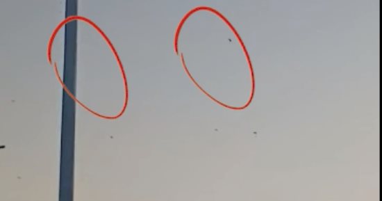 هبوط خاطئ.. تليفزيون اليوم السابع يرصد طيران سياح بالبراشوت بعيدا عن الأهرامات