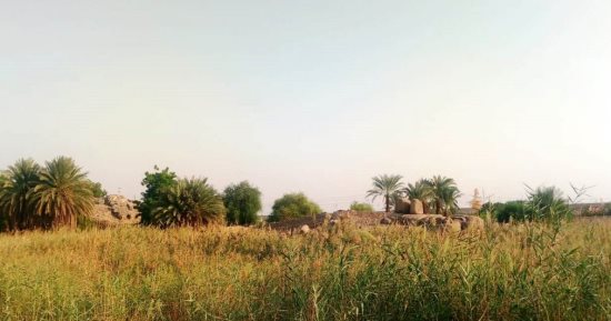 حل جذرى لمشكلة طفح الصرف بالكرور فى أسوان.. اعرف التفاصيل
