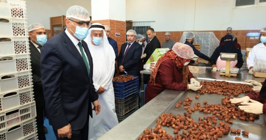 محافظ الجيزة: الواحات تمتلك مقومات فريدة نسعى لتحويلها إلى مشروعات إنتاجية