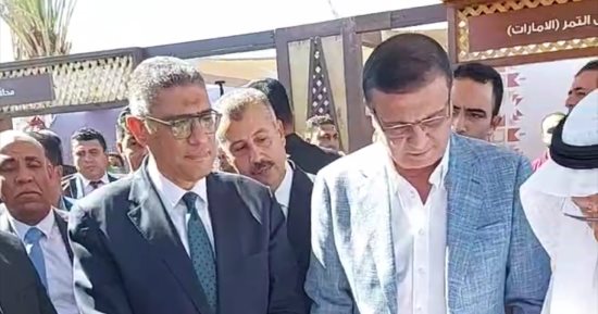وزير الزراعة ومحافظ الجيزة يتفقدان باكيات العارضين بمهرجان التمور بالواحات.. فيديو