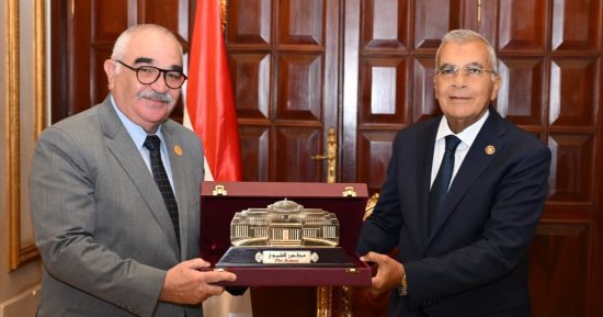 رئيس قضايا الدولة يؤكد أهمية دور مجلس الشيوخ فى دعم الحياة النيابية