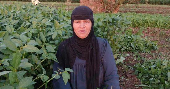 من قلب الحقول.. نجاة فلاحة مصرية تحيى تراث الغناء الشعبى بصوت أصيل.. فيديو