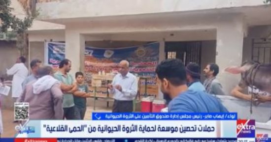 الثروة الحيوانية لـ ستوديو إكسترا: خطة وقائية شاملة لمواجهة الأمراض الوبائية