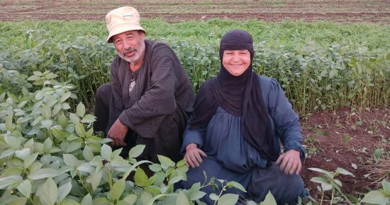 من قلب الغيطان.. نجاة فلاحة مصرية تحيي تراث الغناء الشعبى بصوت أصيل.. نبراتها تعيد للأذهان زمن الفن الجميل.. 36 عاما من الكفاح والحب مع زوجها تحت شمس الحقول لتربية أبنائهما.. تتمنى زيارة بيت الله الحرام.. فيديو