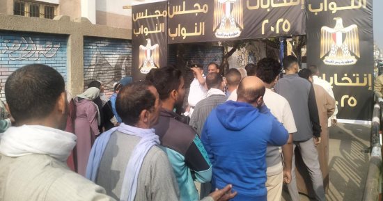 مجلس الشباب المصرى يدفع بـ10 آلاف متابع لتعزيز شفافية ونزاهة الانتخابات