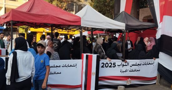 طريقة التصويت لاختيار مرشحى الفردى فى انتخابات النواب بـ30 دائرة ملغاة 