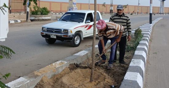 التنمية المحلية تعلن انطلاق المرحلة الرابعة من المبادرة الرئاسية 100 مليون شجرة بالشرقية